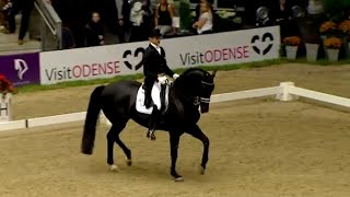 Reem Acra FEI World Cup™ Dressage 201415  Odense  Freestyle News [upl. by Leuname]