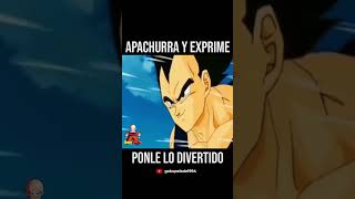 Quitale lo aburrido ponle lo divertido dragonballz humor vegeta [upl. by Aititel]