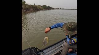 Pescaria no Pantanal fishing pescadores pescaria pesca [upl. by Rocco]