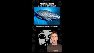 Animals that live the longest Mr Incredible Meme EXPLAINED [upl. by Eiramnna]