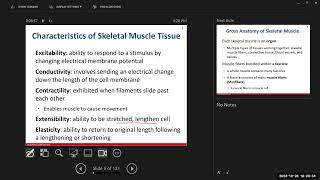 Day 15 BIO 210 700 Lecture FA2024 Muscle Tissue [upl. by Yrreg]