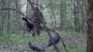 Spring Gobbler Hunting Virginia Cant Stop The Flop [upl. by Nennarb]