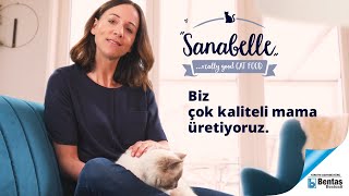 Sanabelle Kedi Mamaları 🐱 [upl. by Anez463]