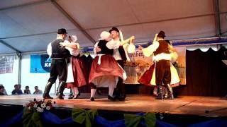 Schwabenfest Donauschwäbische Tanzgruppe PilisvörösvarWerischwar [upl. by Ahsikin]