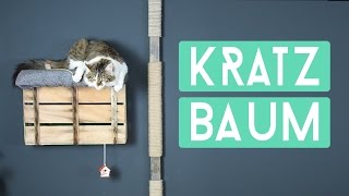 DIY Kratzbaum für die Wand Einfach selber machen [upl. by Pazit848]