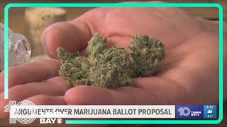 Will Florida be the next state to legalize recreational marijuana [upl. by Sadira]