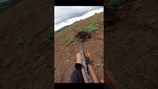 Охота на дикого кабана на очень близком расстоянии cinghiale chasse wildboar охота дикий кабан [upl. by Nnyliram]