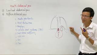 Semiology  Diffuse Abdominal Pain [upl. by Elbertina]