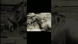 War AdmiralSeabiscuit Secretariat edit 😭😓 legends waradmiral seabiscuit secretariat [upl. by Imled]