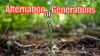 On Alternation of Generations [upl. by Yeffej]