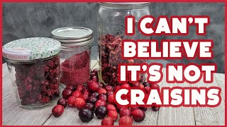 DIY Craisins  How to Dehydrate Cranberries and make Cranberry Powder [upl. by Eniksre]