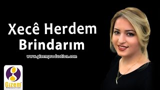 Xecê Herdem Birîndarım Akustik [upl. by Ellehsor776]