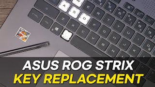 How to Replace Key  ASUS Rog Strix G713Q Gaming Laptop [upl. by Gatias]