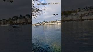 Autumn in Luzern City  Switzerland  Autumn 2024 b2clicks switzerland luzern vierwaldstättersee [upl. by Wanonah147]