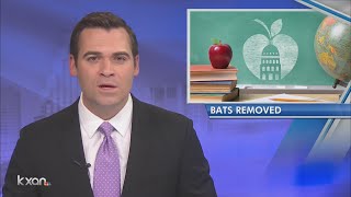 Bats force some Blackshear Elementary classes to move [upl. by Lichter]