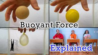 Buoyant Force Explained Submerged Objects in Fluids [upl. by Esom]