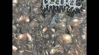 Disgorge Mex  Inhuman Grave Cover [upl. by Deeas]