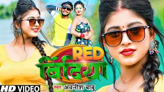 Video  रेड बिंदिया  Red Bindiya  Awanish Babu  FT Komal Singh  New Bhojpuri Song 2024 [upl. by Artamas]