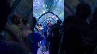 Kottakkal Aqua Expo kottakkalaquaexpo aquarium aquaexpokottakal malappuram sunday minivlog [upl. by Nnylsor]