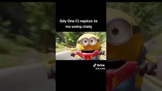 minionki polski dubbing [upl. by Cadman957]