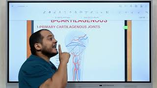 Anatomy of Joints [upl. by Pirbhai]