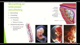 Klas 3 Mavo Thema 2 Voortplanting en Ontwikkeling basisstof 4 Bevruchting en Embryonale ontwikkeling [upl. by Curzon]