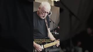 Between Two Points Solo  David Gilmour amp Romany Gilmour [upl. by Trudnak]