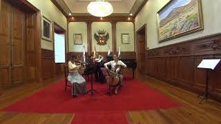 Johannes Brahms Piano Trio No1 [upl. by Onairda828]