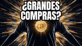 Por qué BTC será el ACTIVO LÍDER en Inversiones [upl. by Perceval]