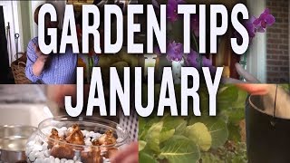 Winter Garden Tips and Projects P Allen Smith January [upl. by Ratna24]