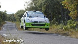 Best of Rallye 2012 HD Attack Showtime amp Crash Part 01 [upl. by Evanne961]