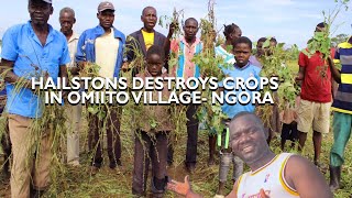 How Hailstones destroyed crops in Ngora District [upl. by Sams]