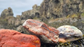 Rockhounding Seam Agate Chalcedony Banded Jasper Nova Scotias Bay of Fundy [upl. by Barnebas]