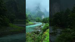 quotThe Journey of a Raindropquot nature mountains naturefilms raindrops shorts foryou [upl. by Nollie323]