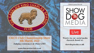 The Cavalier King Charles Spaniel Club 2023 Championship Show [upl. by Aicerg417]