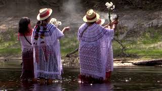 2017 Florida Folk Festival  Espiritu Maya [upl. by Chaffinch6]