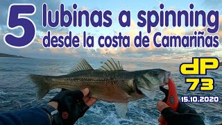 Pesca de 5 lubinas a spinning desde la costa de Camariñas Fishing 5 seabass from the coast [upl. by Dyraj]