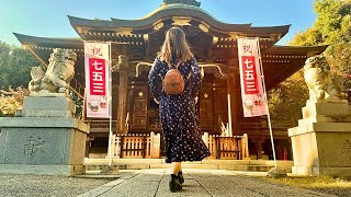 Akabane Hachiman Shrine in Tokyo [upl. by Elburr]