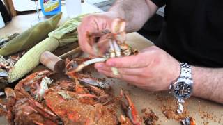 How To Eat Steamed Crabs [upl. by Leva]