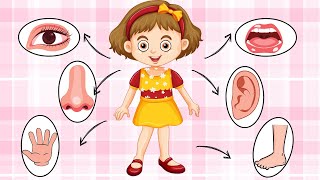 Body Parts Song for Kids  English Nursery Rhyme for Children amp Easy rhyme  Educational Kids Songs [upl. by Annaeerb]