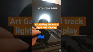 Art Gallery led track light with display Museum Shapeable LED Track Light [upl. by Bass]