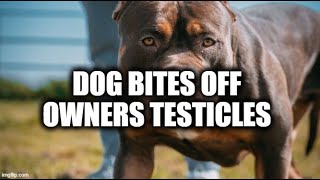 Dog Bites Off Owners Testicles [upl. by Atiekan]