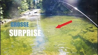 Grosse SURPRISE en Pêchant la TRUITE en Rivière de MONTAGNE [upl. by Ayirp]