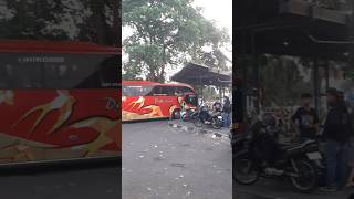 Hino r 260 engine bus Dali Mas Bus Pariwisata Nusantara Gemilang karoseri [upl. by Breeze]