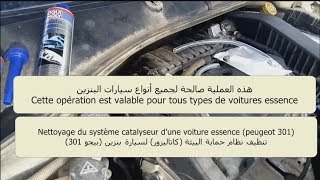 Nettoyage catalyseur peugeot 301 هدية لأصحاب بيجو301 ، تنظيف نظام حماية البيئة كتاليزور [upl. by Loar]