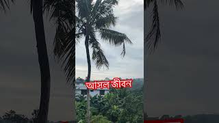 কবরের জীবন হলো আসল জীবন 🥹 youtubeshorts mijanurrahmanajahari islamicshorts subscribe [upl. by Aitsirhc257]