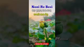 Nani re insta re besi reels ni 😍🌿\ sambalpuri status video \ ghumra dhari ai mu barati shortvideo [upl. by Ronn]