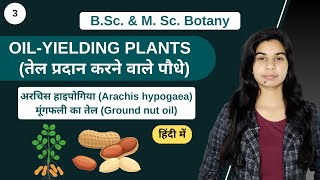 Economic Botany  OILYIELDING PLANTS  मूंगफली का तेल Ground nut oil  हिंदी में  Botany [upl. by Ellatsirhc]