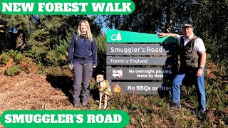 NEW FOREST WALK at SMUGGLERS ROAD amp BURLEY WITH SPECIAL GUEST NIC of WALKING THE WYRD 4K [upl. by Anamuj]