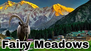 Fairy Meadows Heaven on earth 🌍 2024 Nanga Parbat [upl. by Rafferty61]